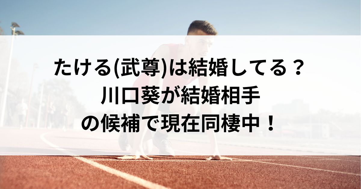 たける(武尊)は結婚してる？川口葵が結婚相手の候補で現在同棲中の画像