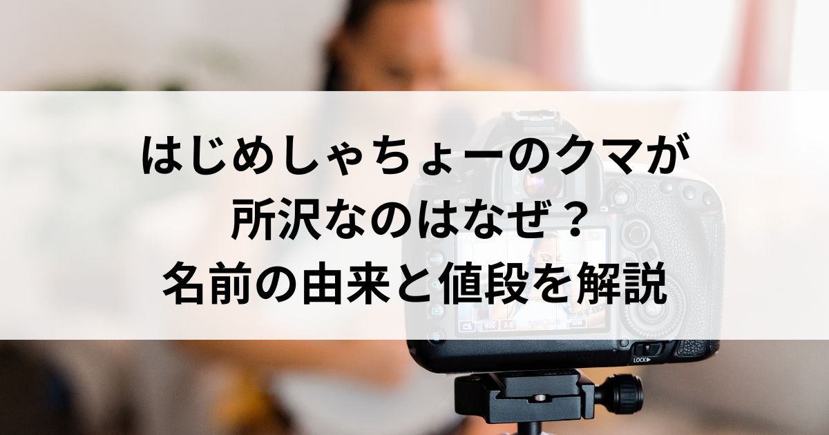 はじめしゃちょーのクマが所沢なのはなぜ？名前の由来と値段を解説の画像